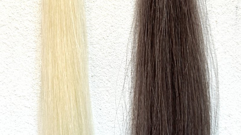 リシリアレルカラーシャンプーの染毛効果検証画像