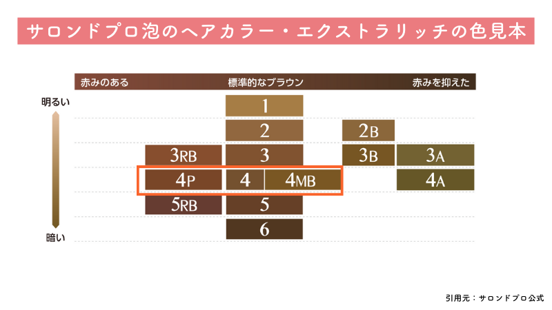 サロンドプロ泡のヘアカラー・エクストラリッチブラウン系の色見本