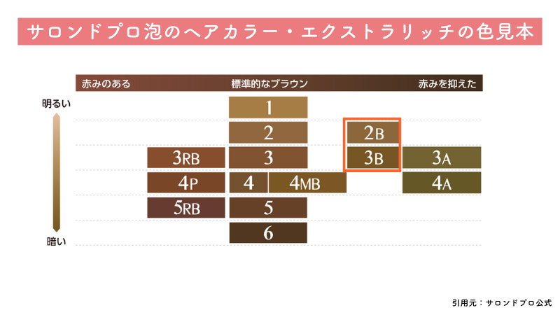 サロンドプロ泡のヘアカラー・エクストラリッチベージュ系の色見本