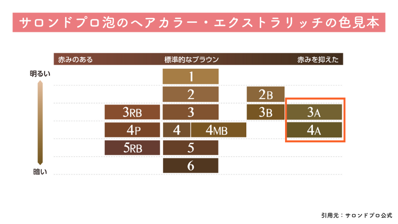 サロンドプロ泡のヘアカラー・エクストラリッチアッシュ系の色見本